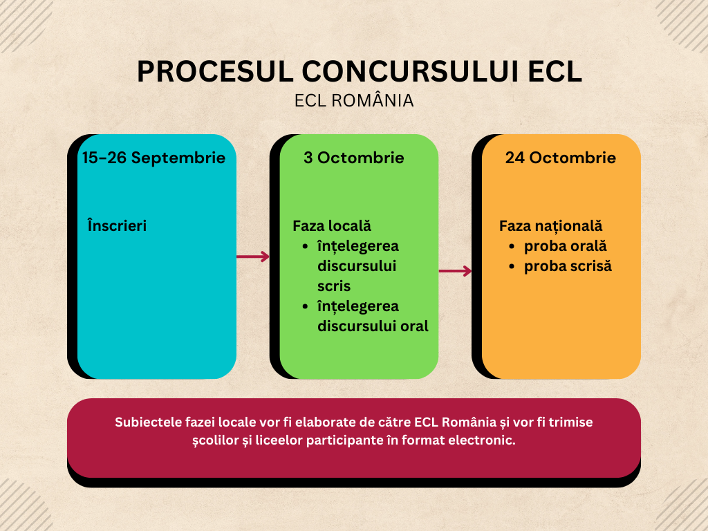 Colorful Modern Process Flow Diagram Graph